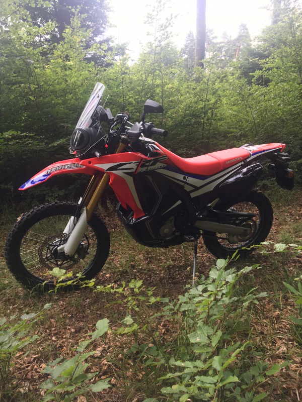 CRF250Rally 384071crf1