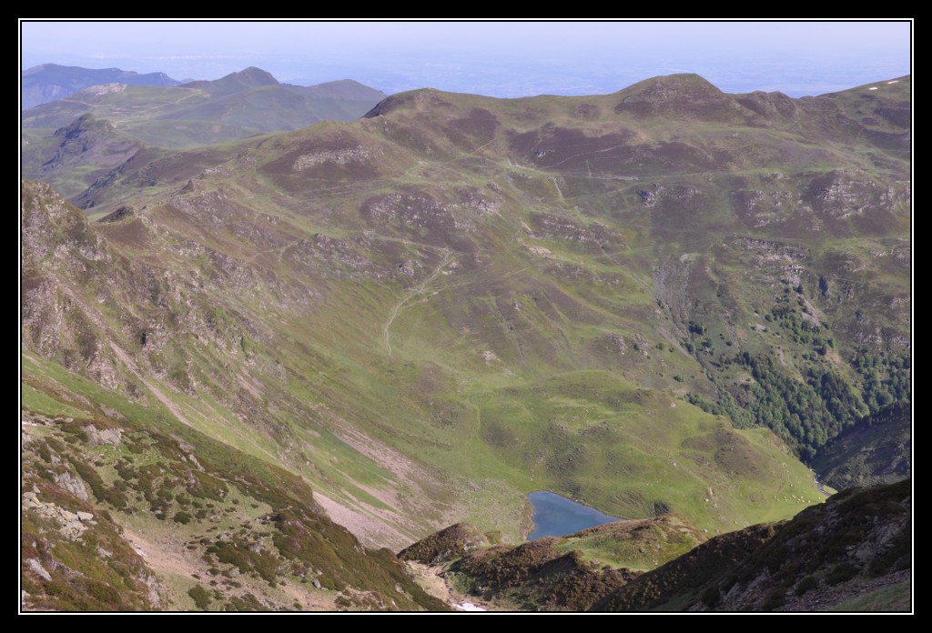 Une vie pyrénéenne de labrit des pyrénées - Page 6 385682jar0639