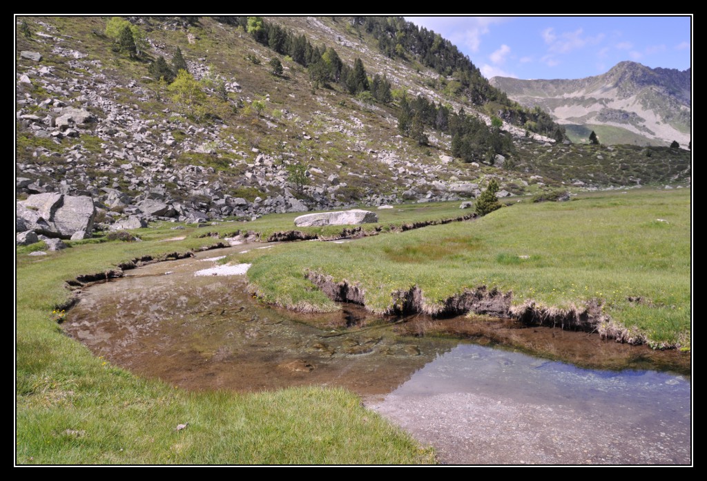 Une vie pyrénéenne de labrit des pyrénées - Page 6 390625mad0288