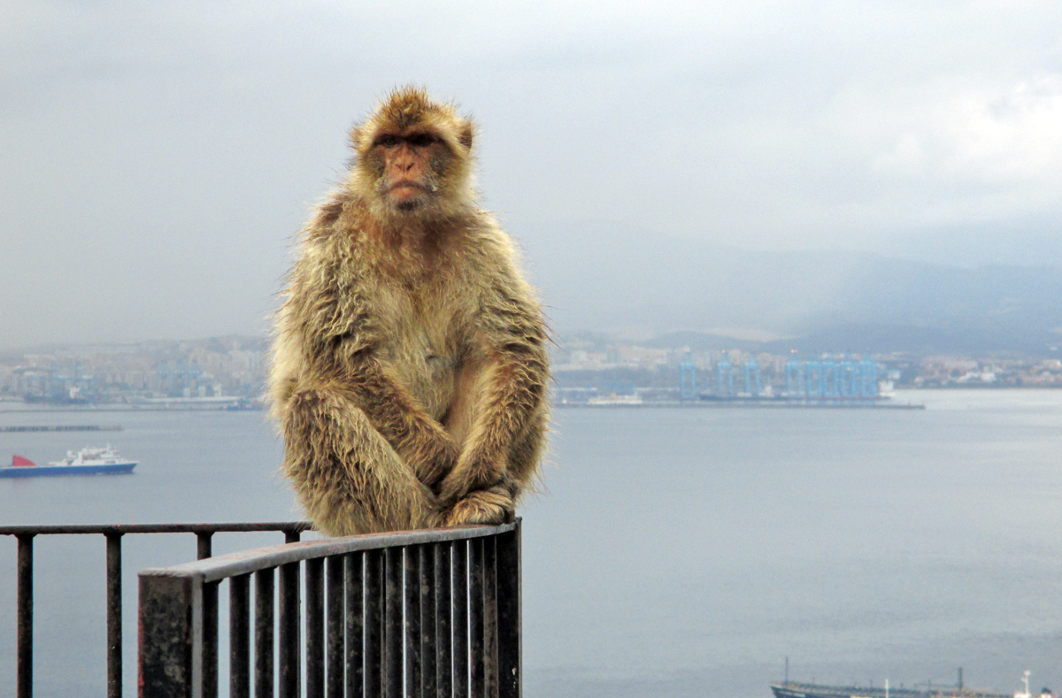 Gibraltar... sous la pluie. 391369056