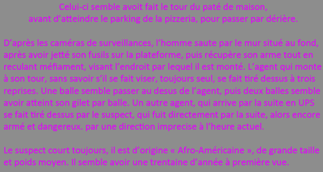 AC - LSPD | Fusillade du 10/ 06/ 2013 - Idlewood. 392950ScneI