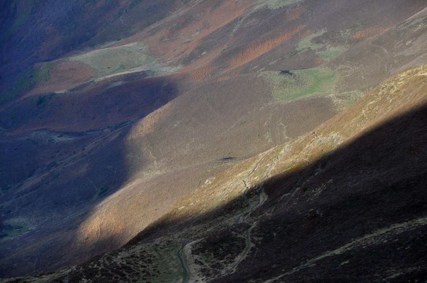 Une vie pyrénéenne de labrit des pyrénées - Page 16 395532tra0732