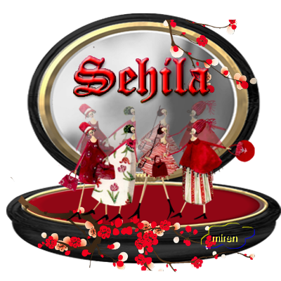 Nombres con S 4006433Sehila