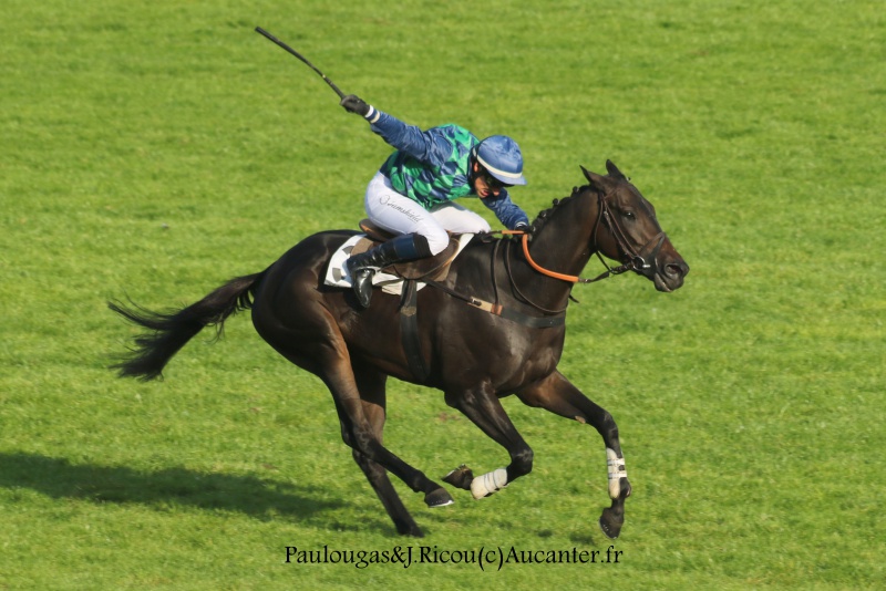 Photos Auteuil 9-10-2016 4031595J6A8040