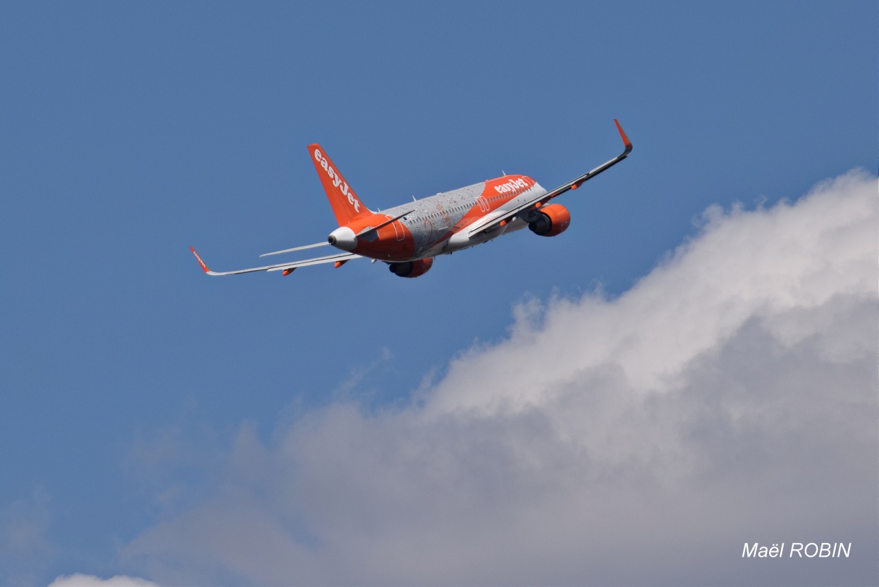 [31/08/2016] Airbus A320(G-EZOG) EasyJet "20 ANS" 404225DSC02234