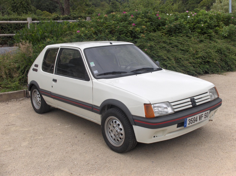 Replique 205 GTI Gr N de Jean Sébastien Couloumies 405285HPIM5162