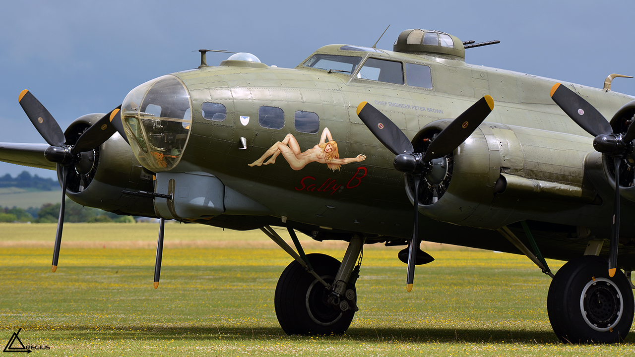 Flying legends 2016 - Duxford - Page 2 4067451280DSC1344