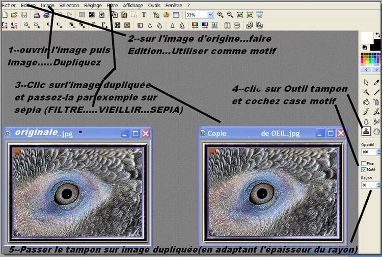 Photofiltre EFFETS AVEC LE TAMPON DE DUPLICATION 412349aaaaa