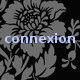 Connexion