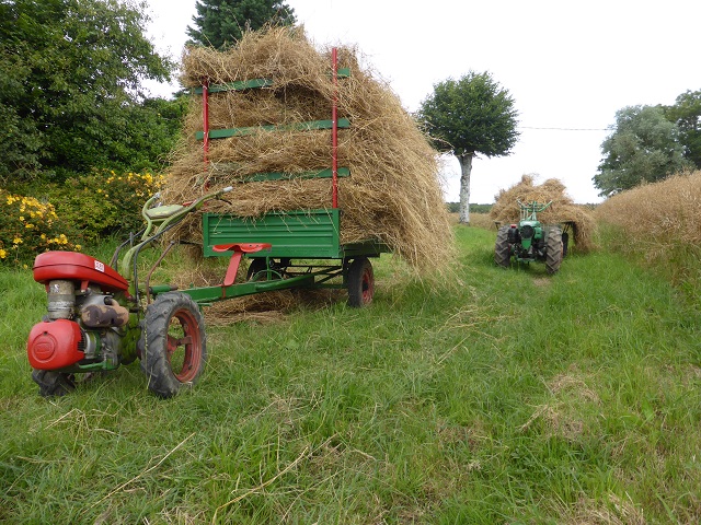 Que transportez-vous avec vos machines? 415910foinrem2