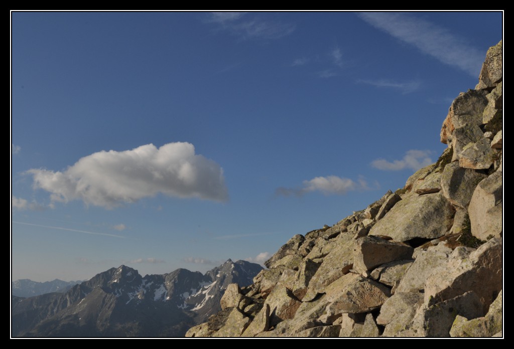 Une vie pyrénéenne de labrit des pyrénées - Page 6 417344mad0238