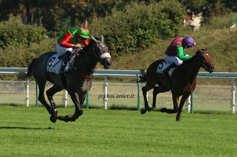 Photos Auteuil 24-09-2016 4193555J6A6905