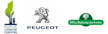 15 000 arbres supplémentaires pour le Puits de carbone forestier PEUGEOT-ONF en Amazonie 419383peugeotonf