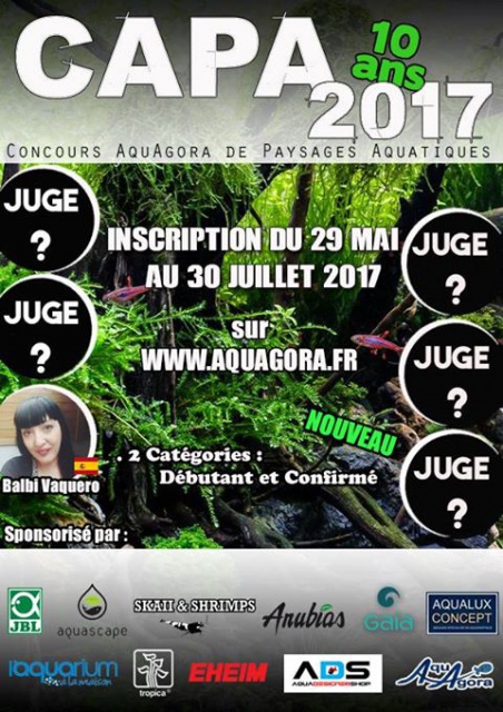 CAPA 2017 les 10 ans!!! 420313CAPA1juge