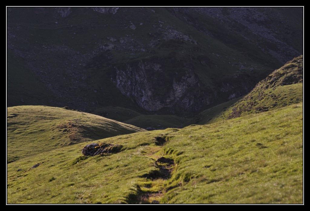 Une vie pyrénéenne de labrit des pyrénées - Page 6 422790jar0622