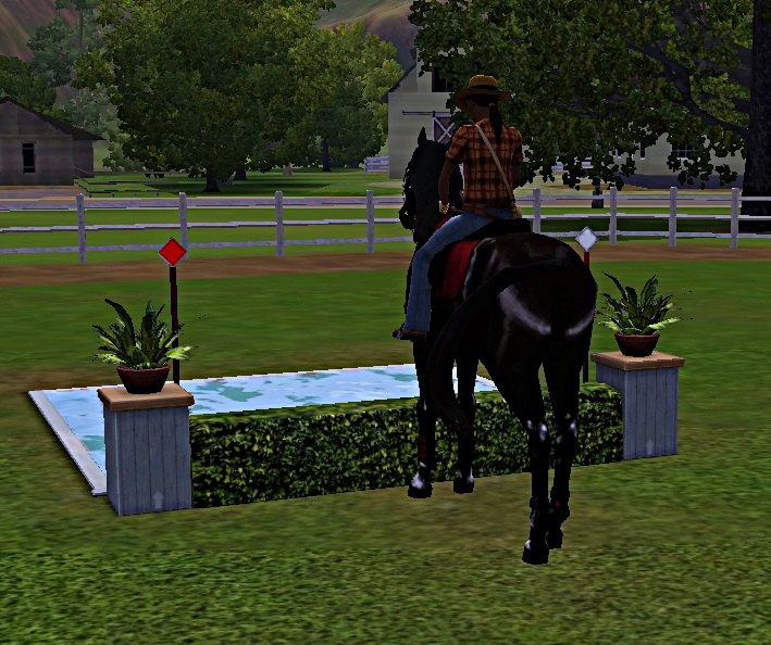 [Challenge] Teens and Horses "Sims 3" - Page 3 424892entrainementausaut4