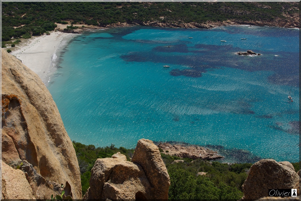 Les Tours Génoises du littoral Corse - Page 2 428190IMGP1733