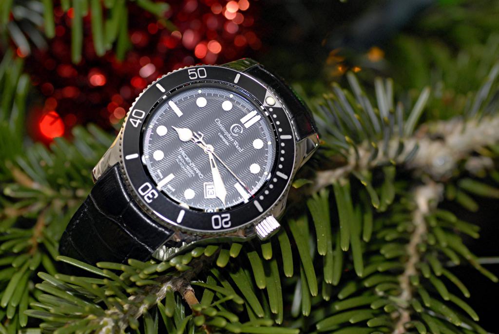 Vos montres en photo pour noël 428723Trident1