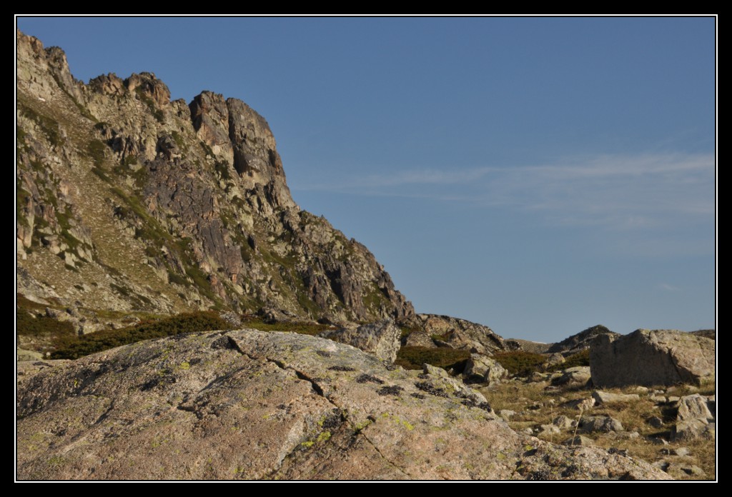 Une vie pyrénéenne de labrit des pyrénées - Page 6 430175mad0248