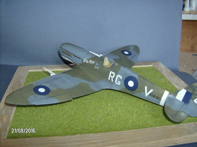 spitfire MK VIII "grey nurse" squadron 457 ,guerre du  pacifique 433673001