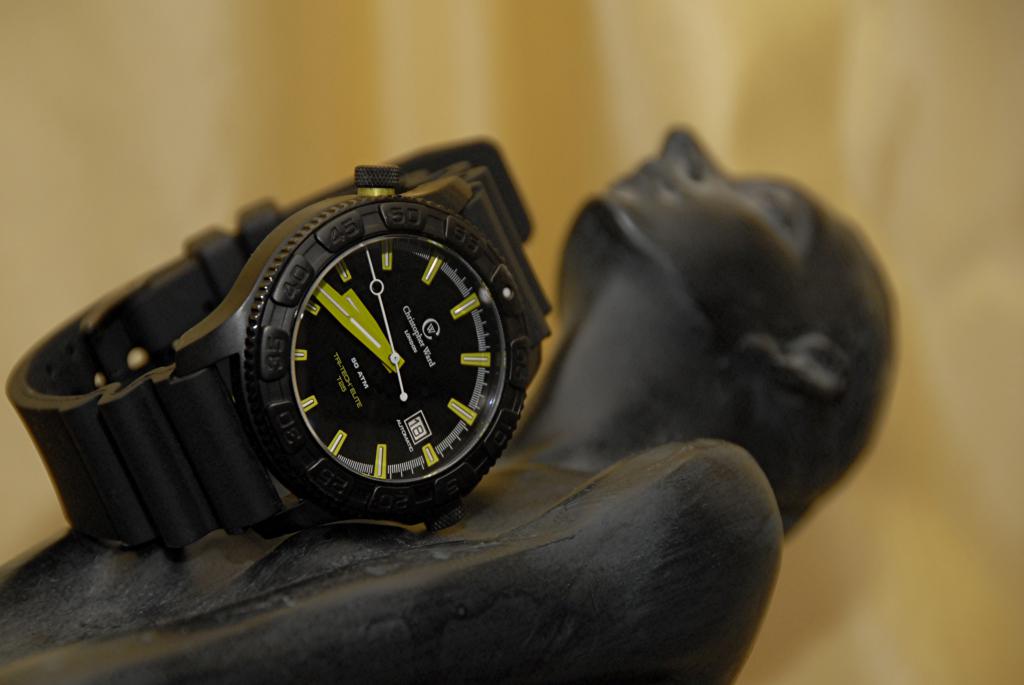 Le club des possesseurs de Christopher Ward 439039Statue