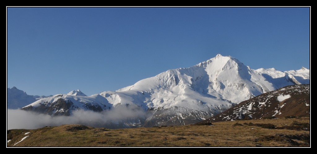 Une vie pyrénéenne de labrit des pyrénées - Page 3 440173sou0131