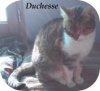 Ben me voici  443559Duchesse