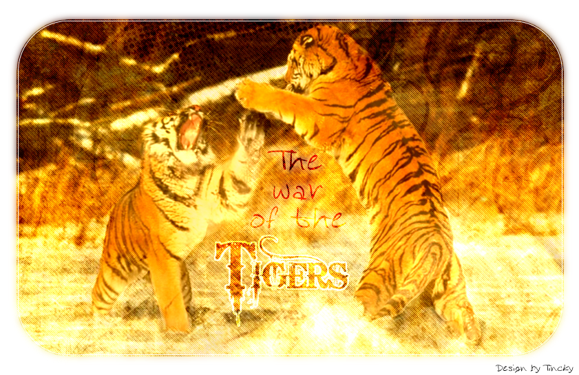 The war of the tigers 