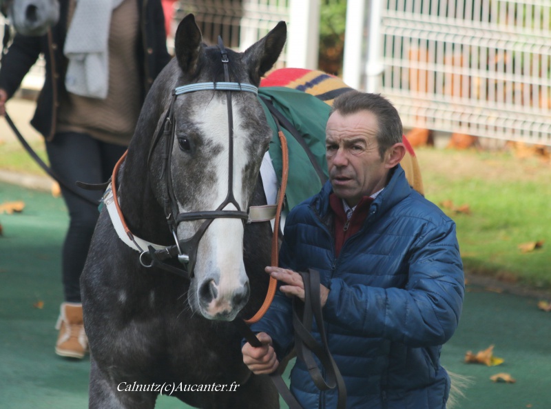 Photos Auteuil 6-11-2016 4456565J6A9985