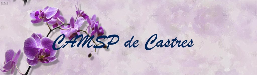 CAMSP de Castres 448194bannierefleuriesblogbanniereorchideebig1
