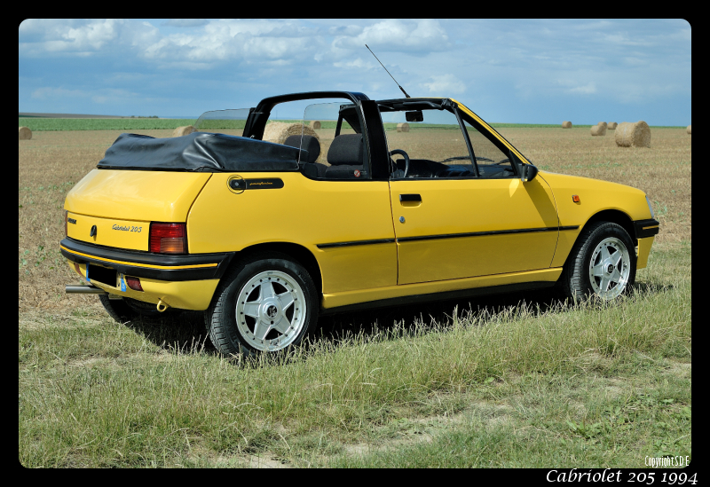 Cabriolet 205 1994 : Restauration et remise en état - Page 2 452728SDE3868border