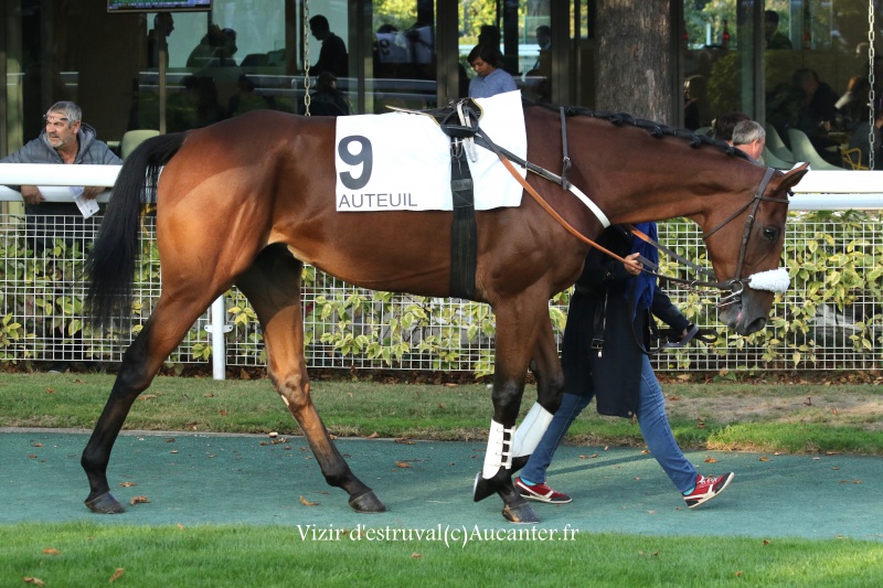 Photos Auteuil 9-10-2016 4551685J6A8138