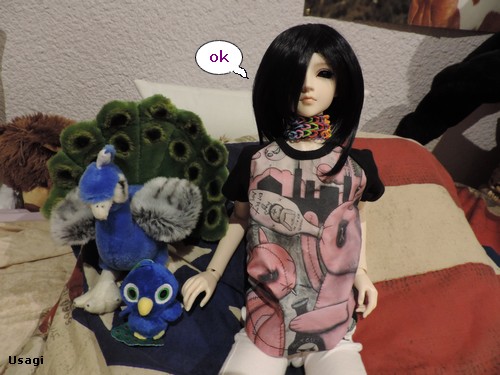 [Luts-Souldoll-DollFamily] Akira et le chien (bas p7) - Page 7 455444792