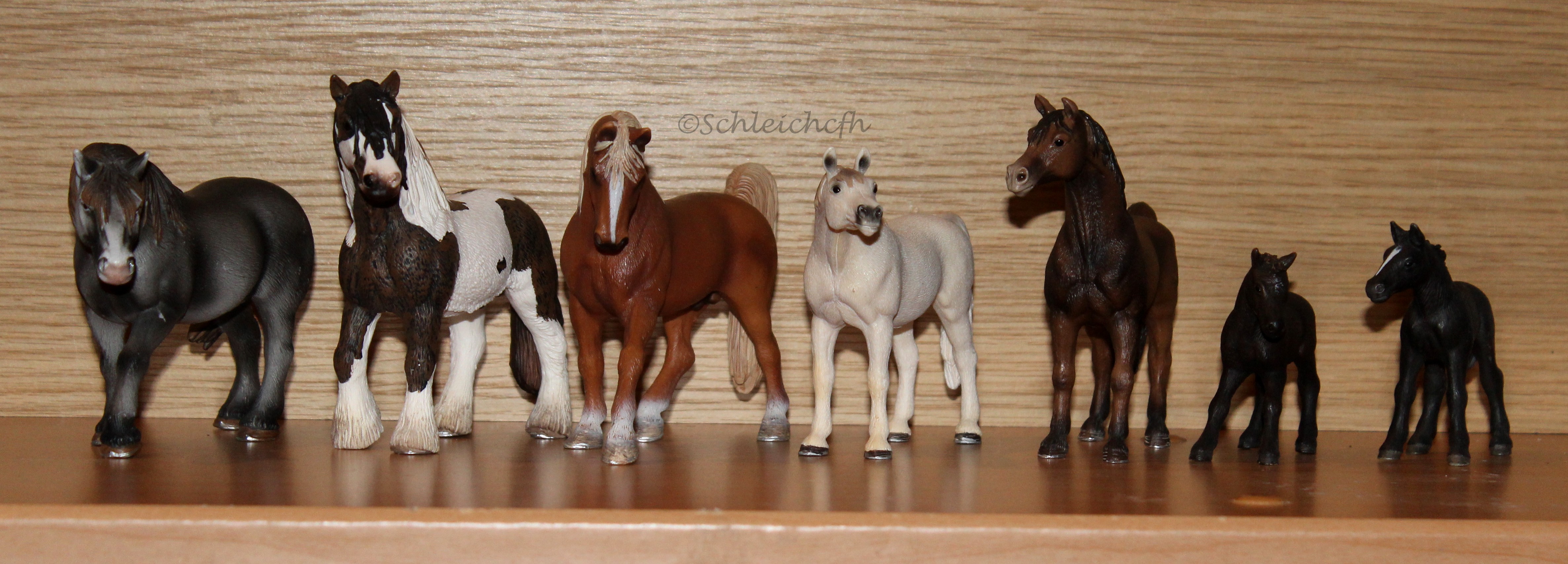 La Collection de Schleichcfh 4567742007