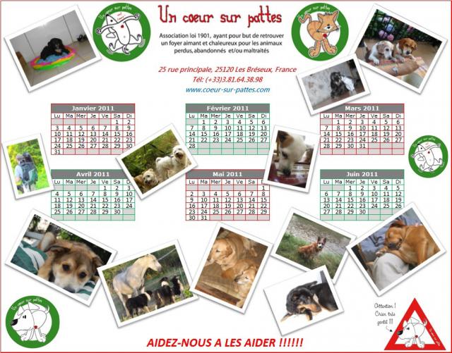 Les calendriers 2011  Un Coeur Sur Pattes sont arrivés !!! 457341calendrierjpg