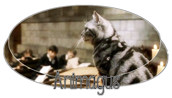 Animagus 462112animagus