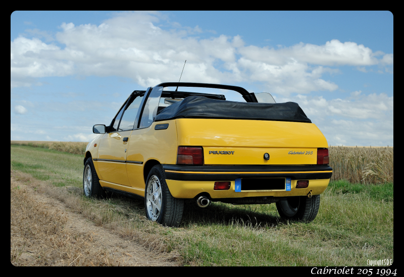 Cabriolet 205 1994 : Restauration et remise en état - Page 2 469132SDE3871border