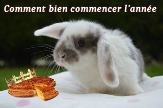 concours n°52: biquette et ses amis fètent la nouvelle année 480223cration