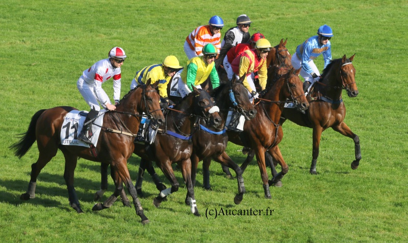 Photos Auteuil 9-10-2016 4809845J6A7760