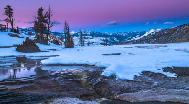 Un hiver volcanique dans le parc de Yellowstone  486574Yel1