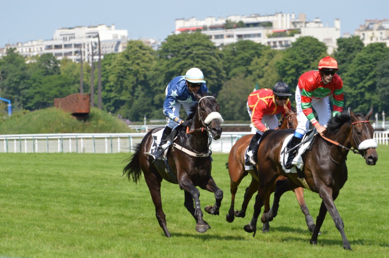 L'Ecurie Chaignon 488149193