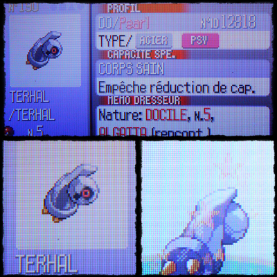 Les shinies de Pearl ! - Page 4 489151Trhal