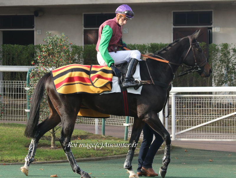 Photos Auteuil 27-11-2016 4958815J6A2625