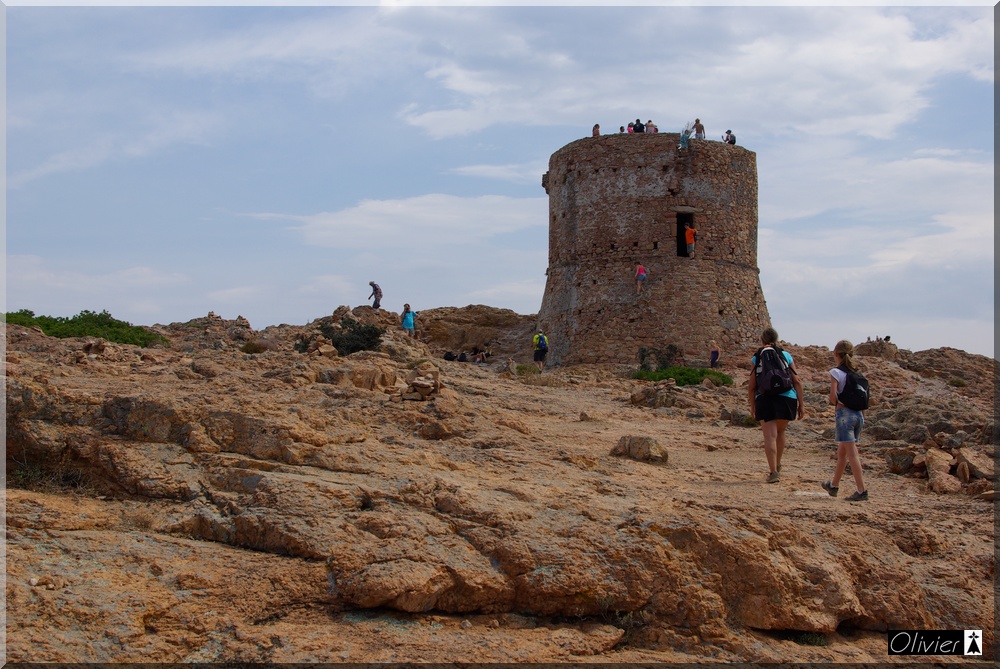 Les Tours Génoises du littoral Corse - Page 2 499360IMGP2181