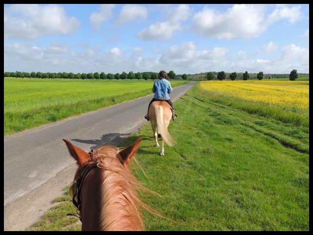 photos des balades que l'on fait depuis le pré... - Page 5 502065Mai12013BIS