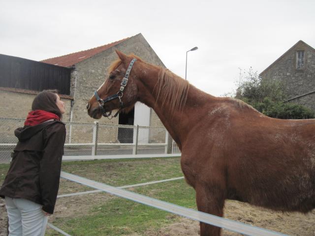 Le retour de Sakko le miraculé !!! 502681IMG58541