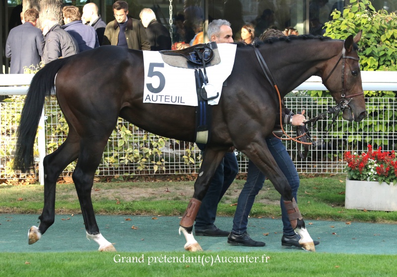 Photos Auteuil 9-10-2016 5029045J6A8081