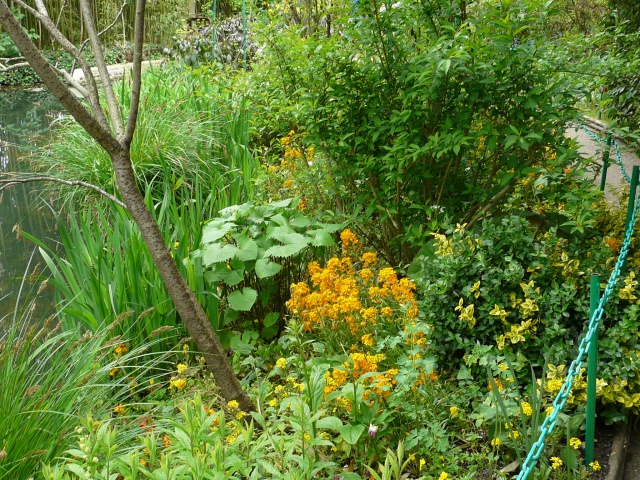 BALADE EN SIDE-CAR CHEZ CLAUDE MONET A GIVERNY(27) 507797059