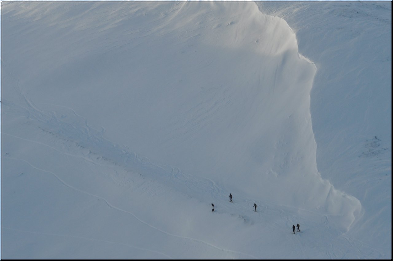 Une vie pyrénéenne de labrit des pyrénées - Page 2 524579tra0131jpg