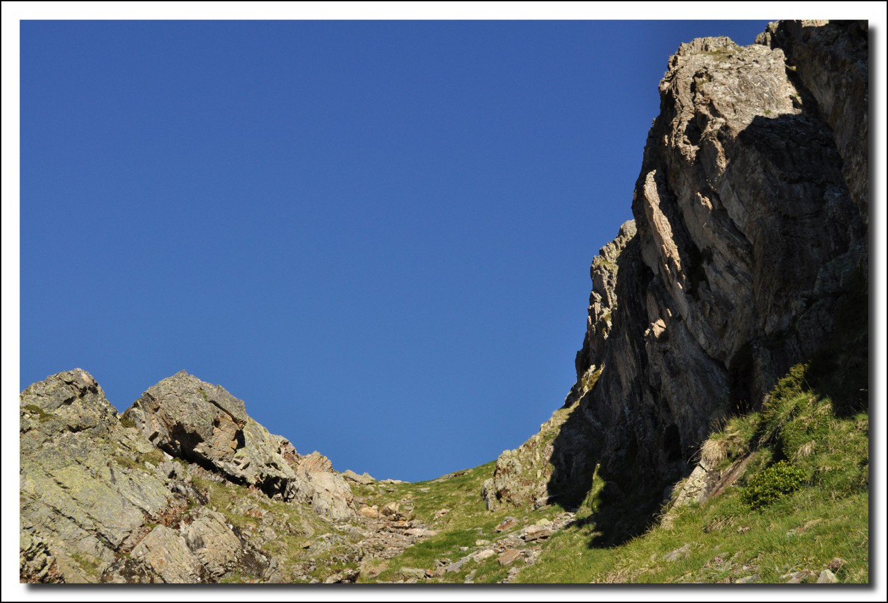 Une vie pyrénéenne de labrit des pyrénées - Page 6 527443her0130